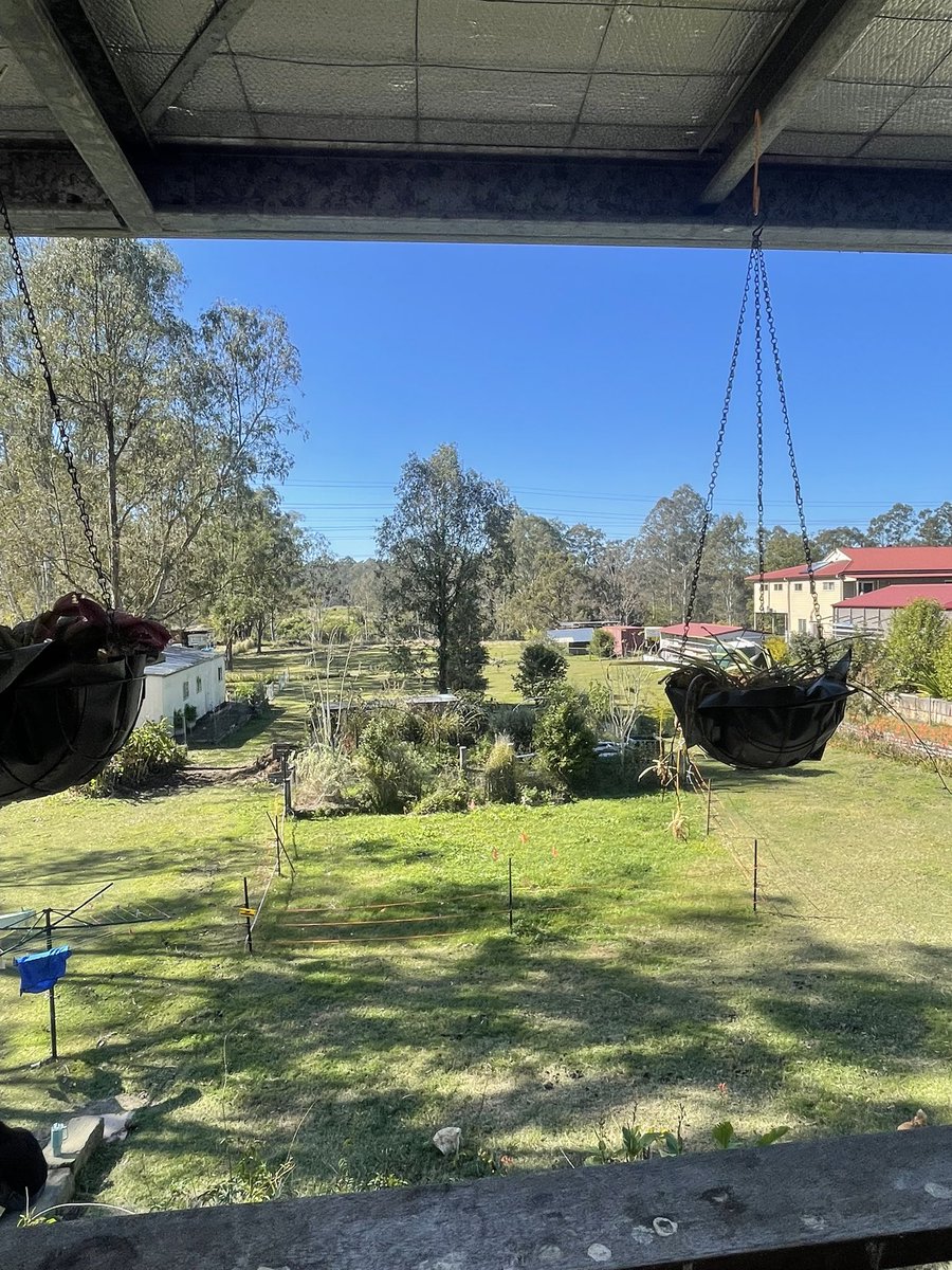 iCopyAlchemist's tweet image. whats more beautiful, than this?