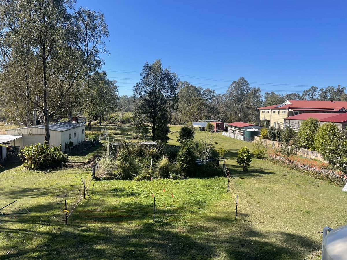 iCopyAlchemist's tweet image. whats more beautiful, than this?