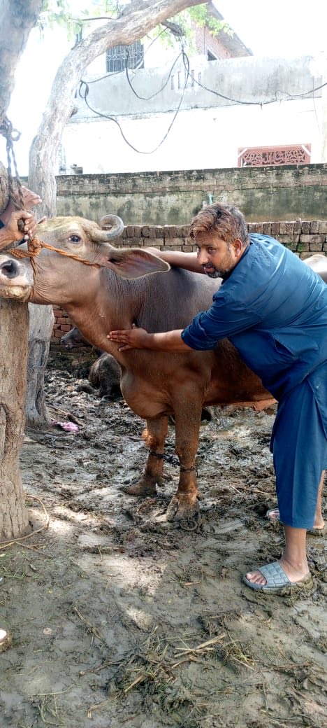 Maryam Nawaz Sharif tweet media