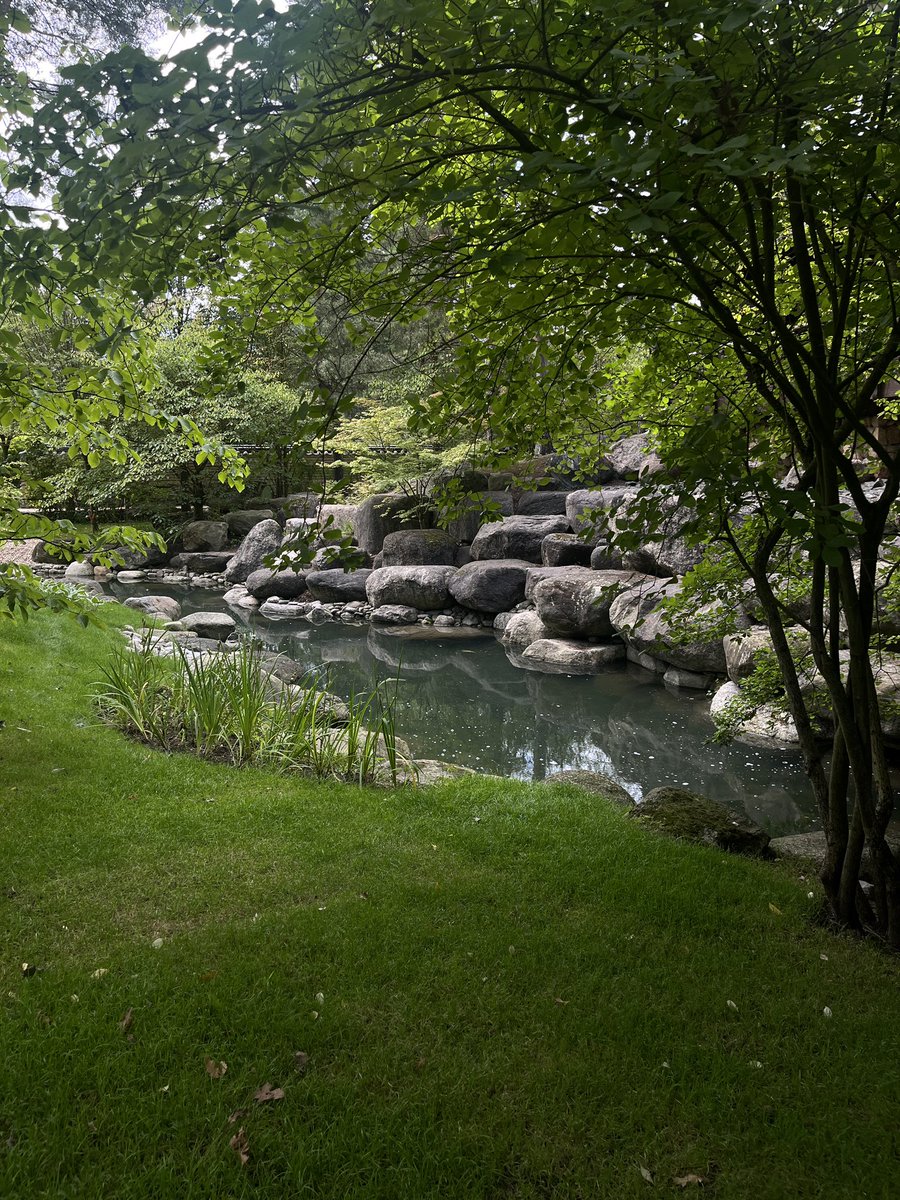 سهيل tweet media