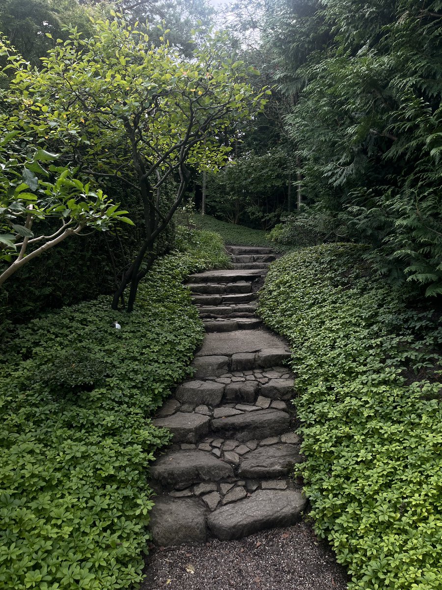 سهيل tweet media