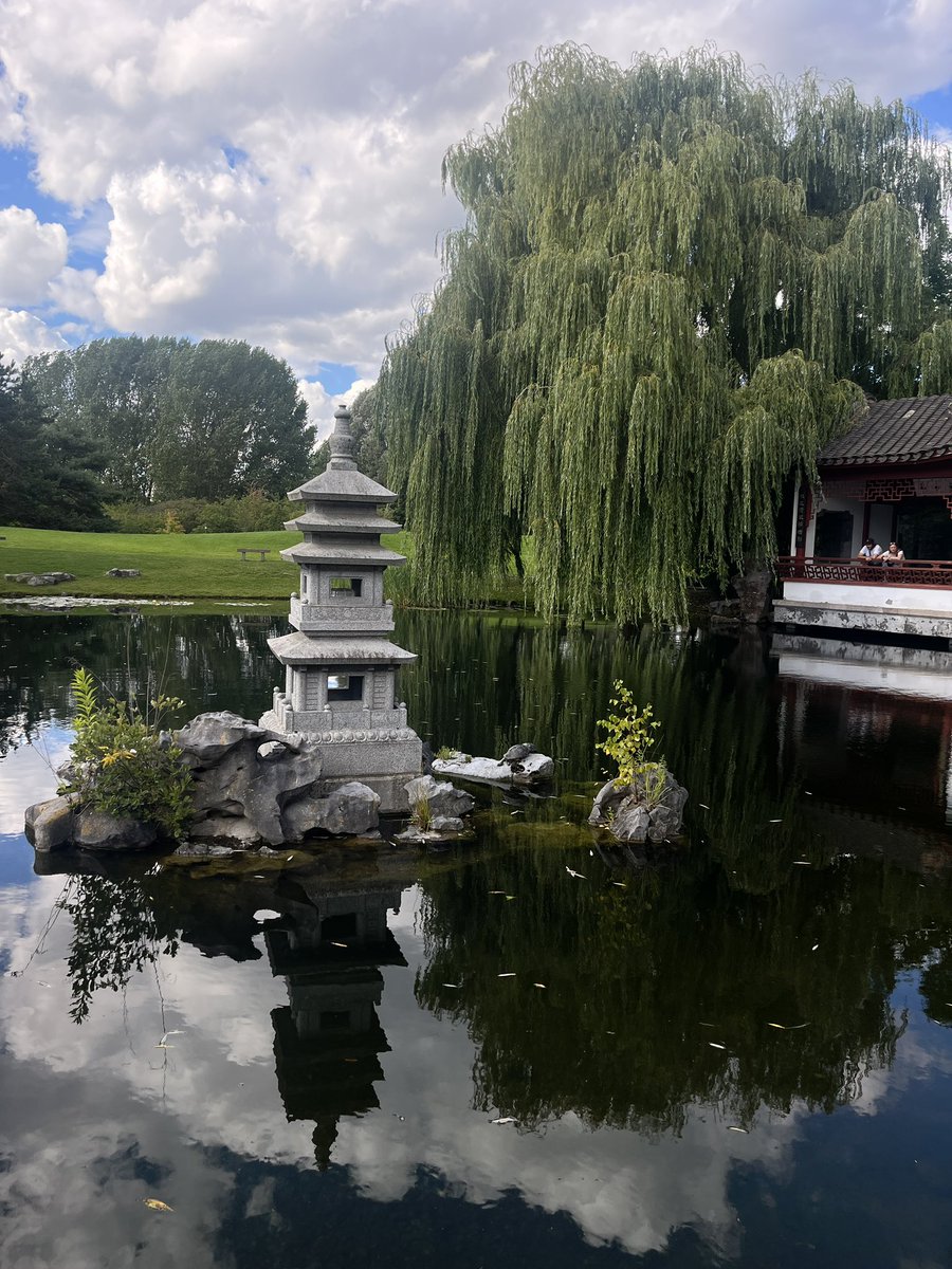 سهيل tweet media