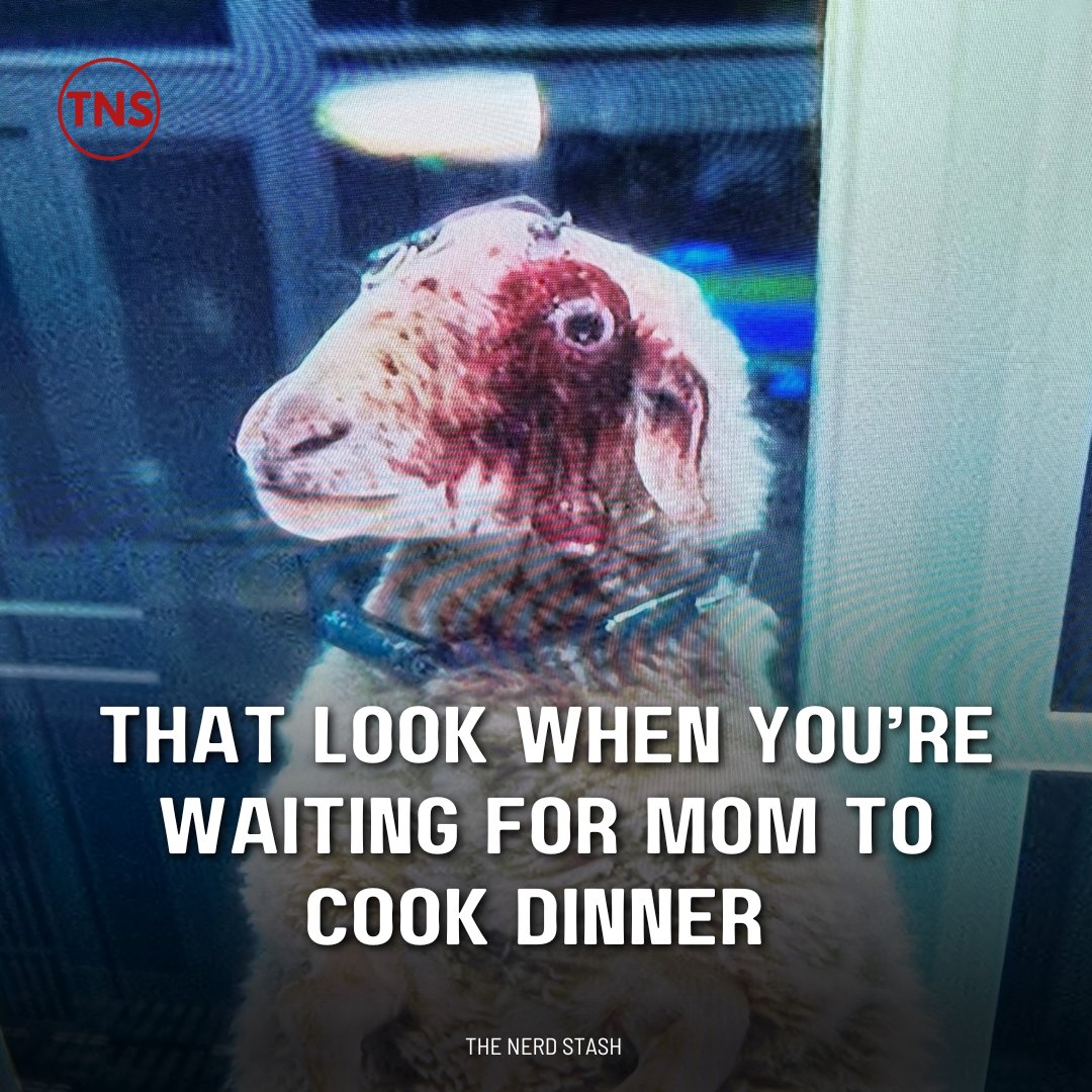 We all know that look! 🤣 #AlienEarth