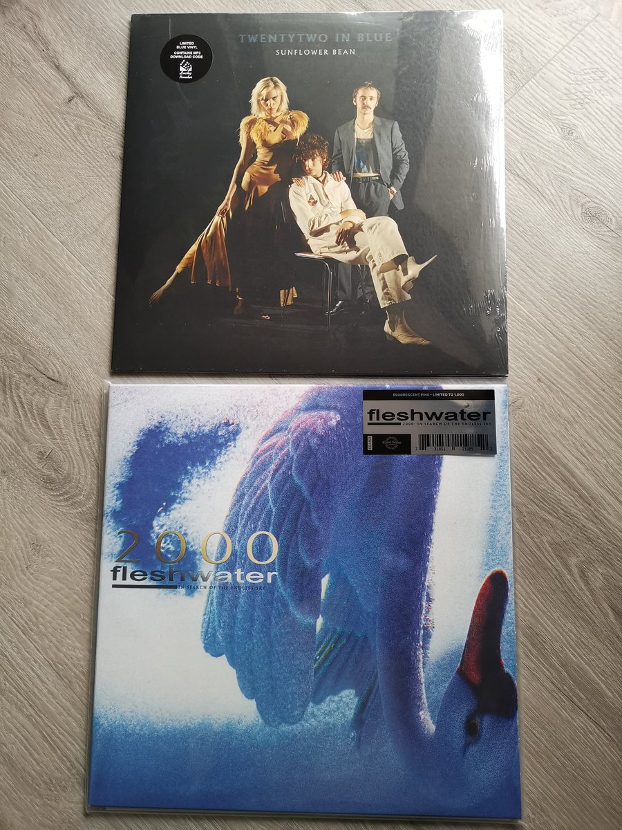 Vinyl Dienstag! Die neue Platte von Fleshwater ist bisher eines der besten neuen Alben in 2025. Sunflower Bean musste noch der Backkatalog ran. 😊