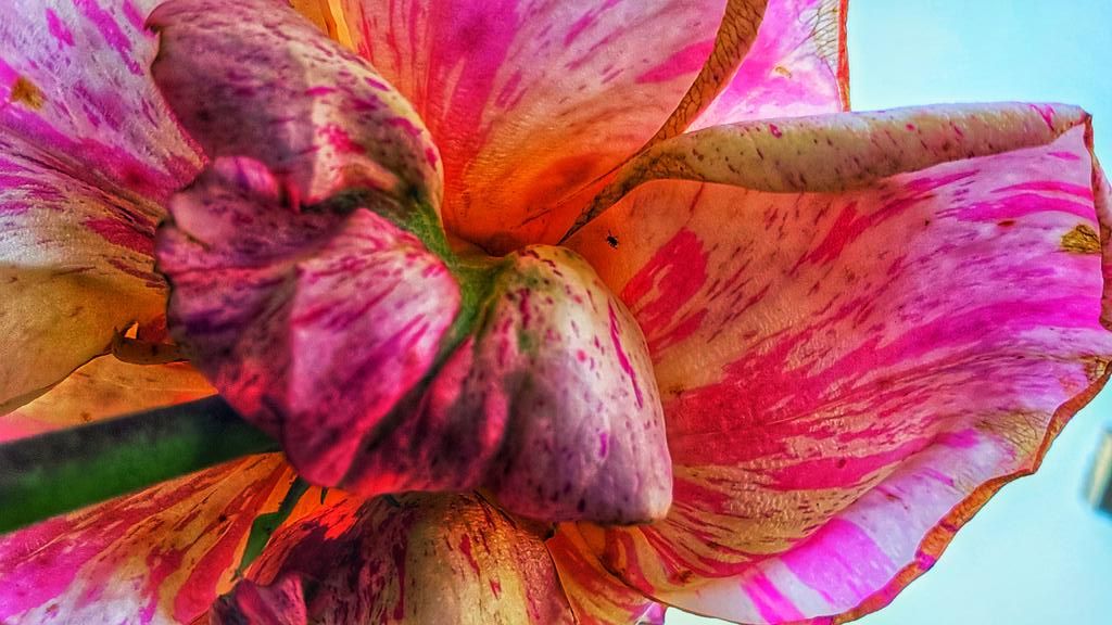 ❥ 𝙄𝙨𝙖 (@___june______) on Twitter photo 