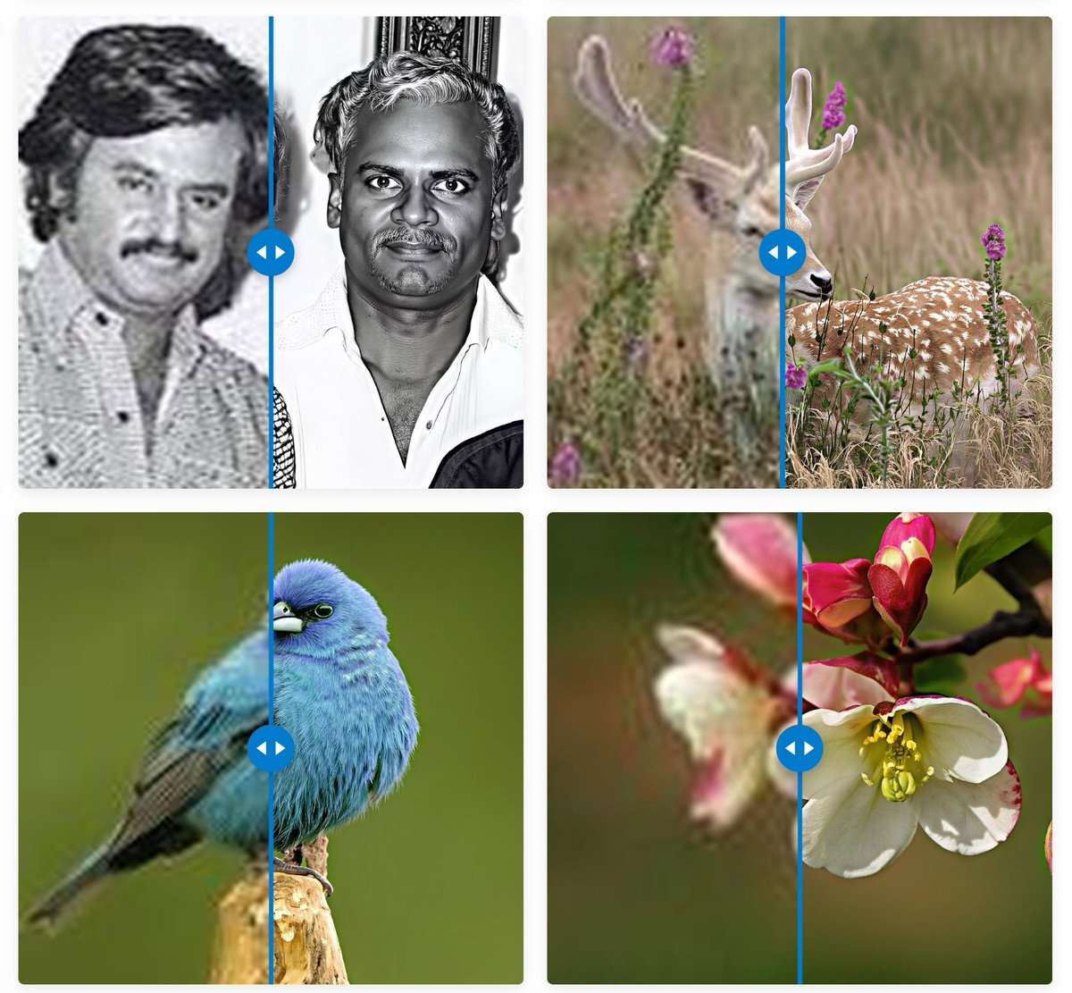 Introducing LucidFlux-14B — caption-free image restoration for the real world. SOTA on 6 metrics, rivaling closed-source. Built on a 12B Flux-DiT with a unified dual-branch design + adaptive temporal/depth fusion; SigLIP preserves semantics without text.