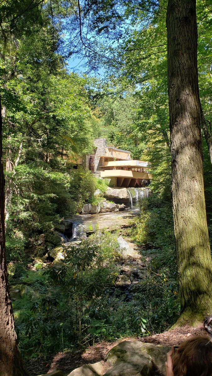 #fallingwater