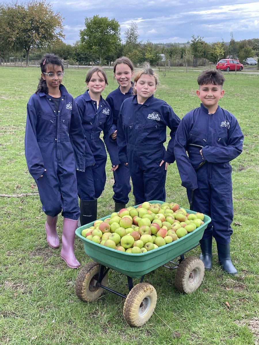 Focus Trust tweet media