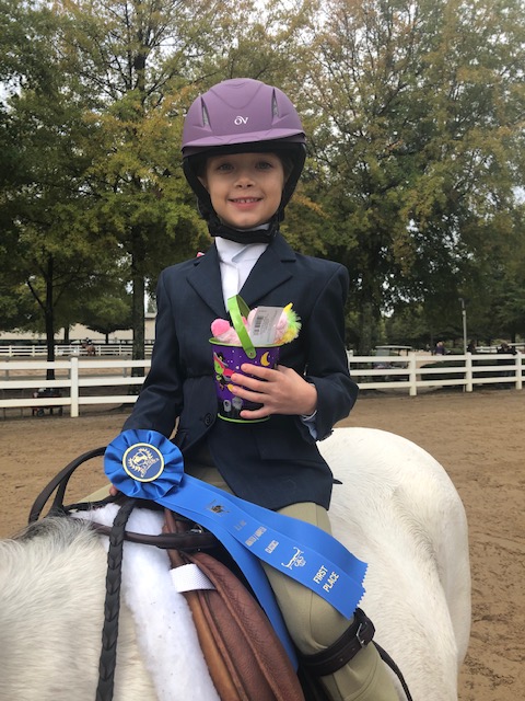 H. J. Fox Classics -5 rings of Hunter/Jumper Competition from Leadline thru 1.25 meter. Event is open to the public. For more information, please contact event manager Vickie Bryans at malonefarmseq@aol.com. Complete show information:  hjfoxclassics.com