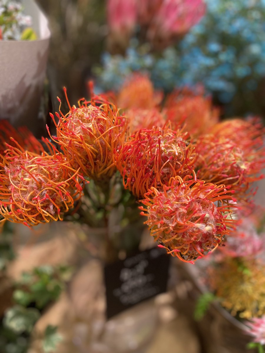 本日、有楽町マルイ鑑定所

開運館
Address
東京都千代田区有楽町2丁目7-1
有楽町マルイ３階
Access
ＪＲ　山手線（有楽町駅から）...徒歩1分
東京メトロ　銀座線（銀座駅から）...徒歩8分
Tel
03-6738-3530
Open - Close
11：00～20：00
高山玉麗
停止した過去の修復より、