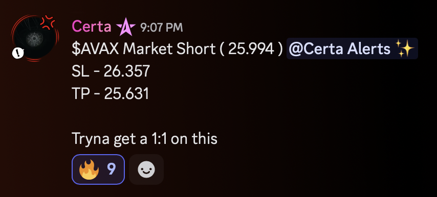 North Star ✦ tweet media