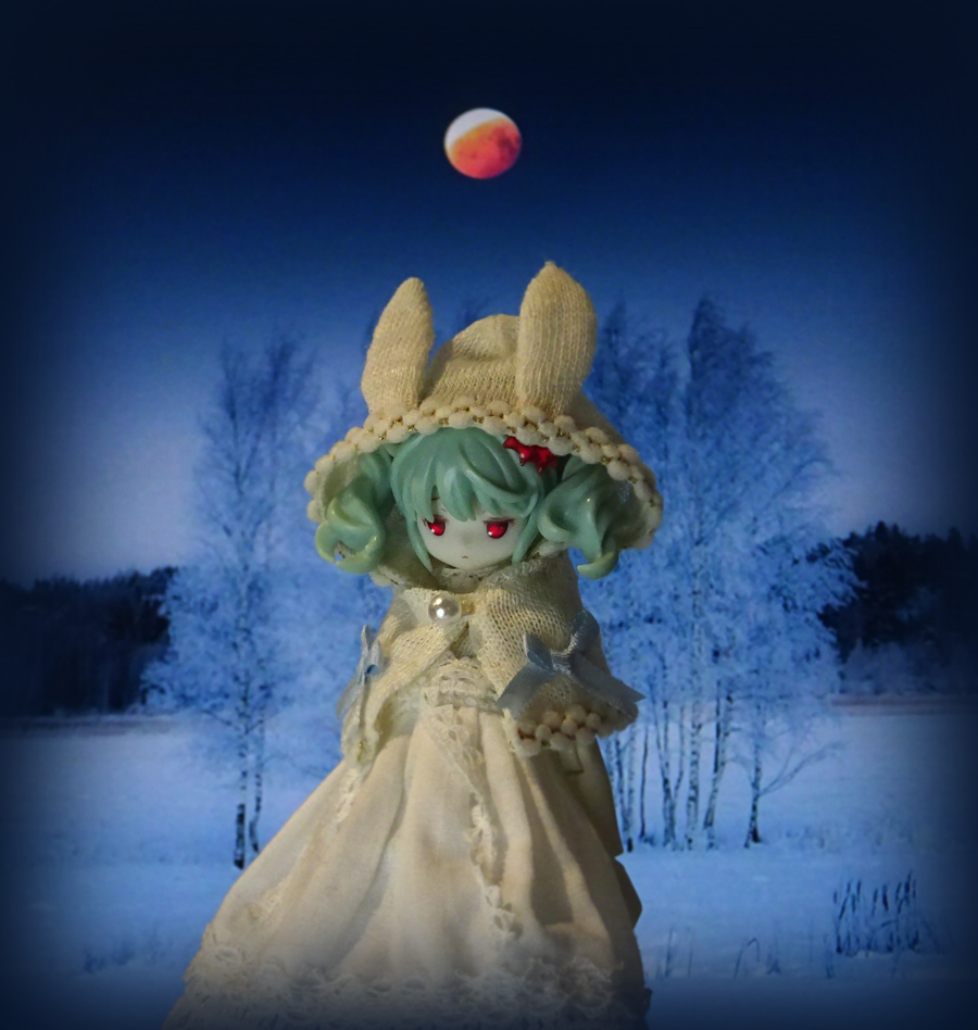 candymeteor2's tweet image. ( &amp;gt;  &amp;lt; ) 🔴 。( いけにえさん どこかな…
#宇宙うさ