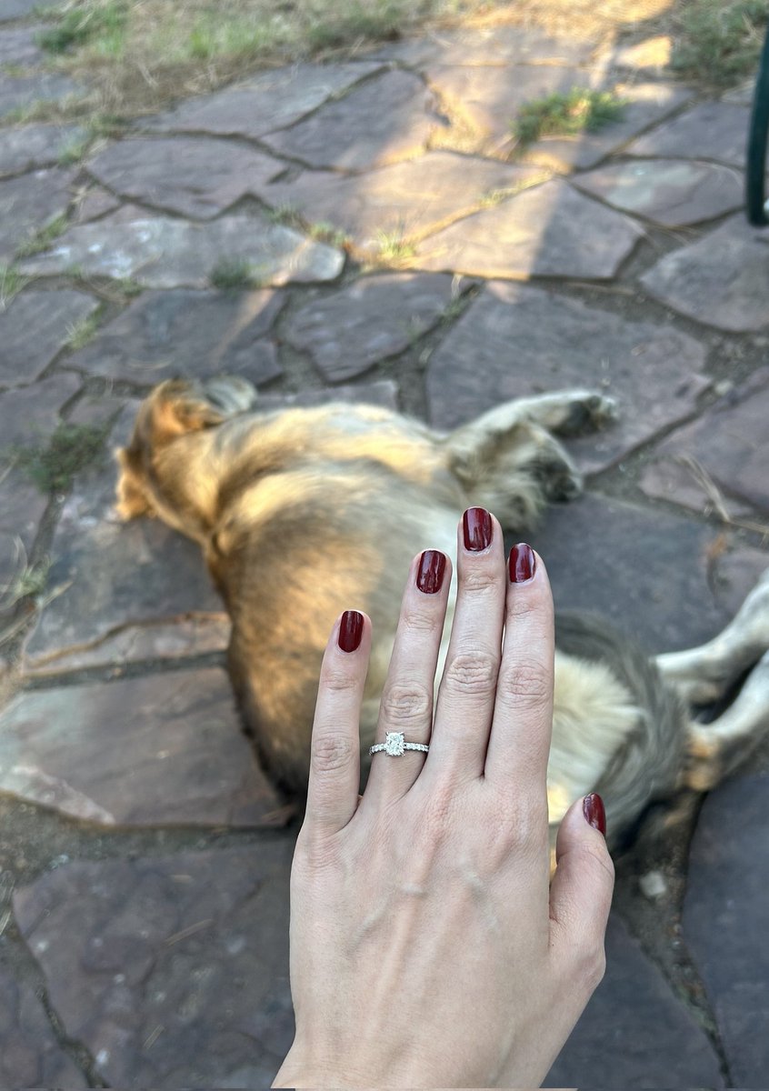 When I'm not serving as the House Majority Whip I'm playing matchmaker. Congratulations to my two friends I set up on a blind date and their wonderful engagement!