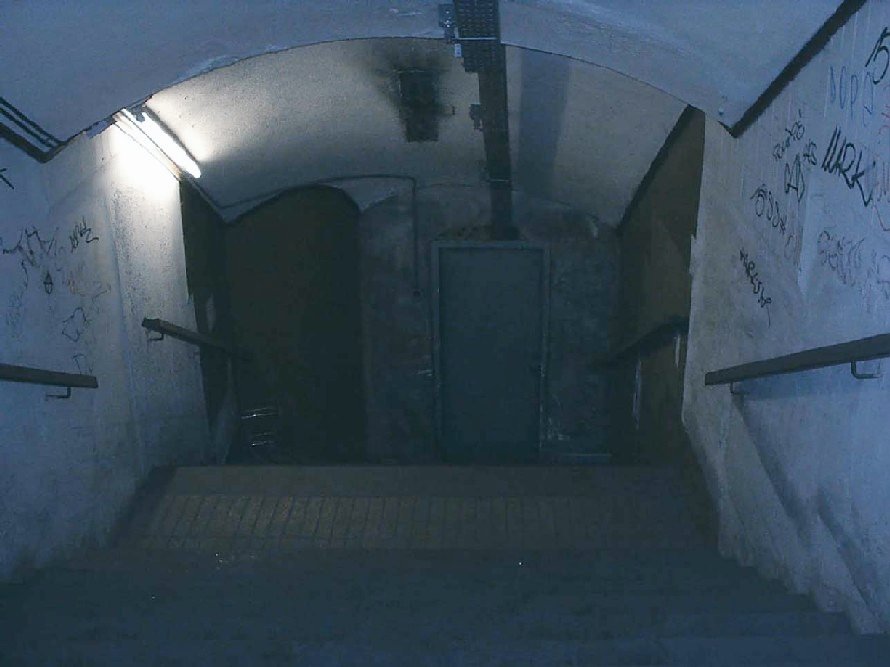 transport.cat tweet media