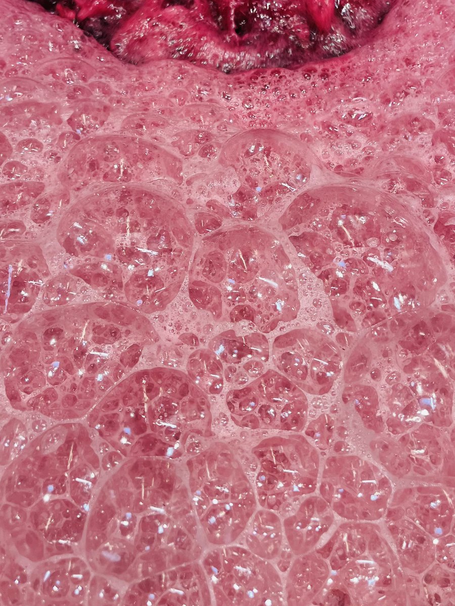 Pichon Comtesse 2025 - Day 7 -Last Merlot picked this afternoon in perfect conditions - My mates and I are on fire to reveal raciness and suave flesh coming from our clay-gravelly soils - NG
#PichonComtesse #TheBestIsYetToCome