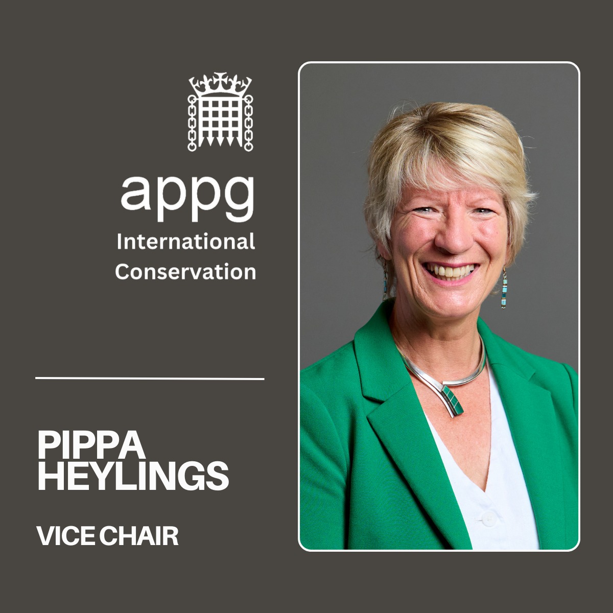 APPG International Conservation tweet media