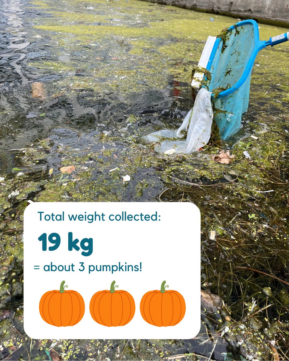 UofTTrashTeam's tweet photo. Let's catchup on all those waterfront finds from #FightingFloatablesTO. We're starting to see a pattern with our top finds, ranging from food wrappers to bottle caps, and lots of bits of foam. In total, the team found 3 pumpkins worth of floating #plasticpollution (by weight). https://t.co/nNk1E2E3D9