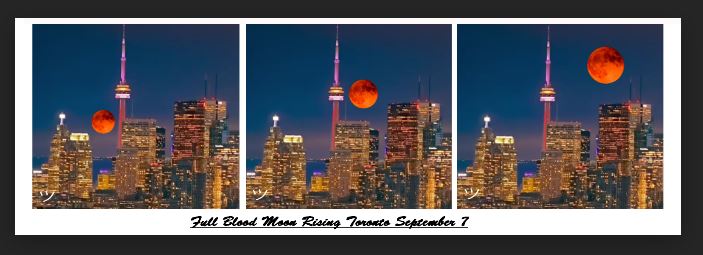 Ms_Harmony58's tweet photo. Beautiful ~LUNA~
#FullBloodMoon #FullMoon https://t.co/k8PQYgOcTq