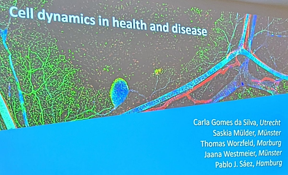 Thomas Worzfeld tweet media