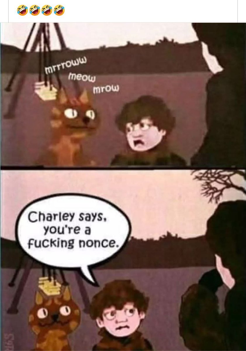 Mel (@badcatscrochet) on Twitter photo 