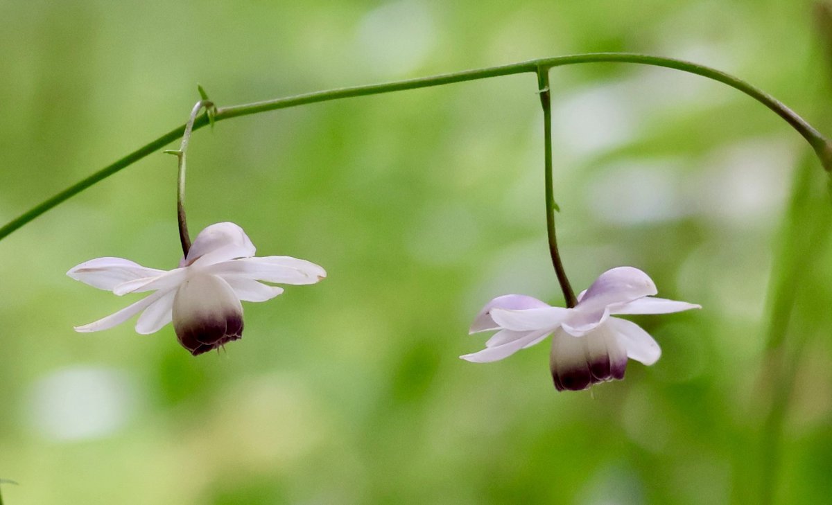 itsme_krrishm's tweet image. Drop your pairs for #twosday Tuesday !!

#KrrishClick