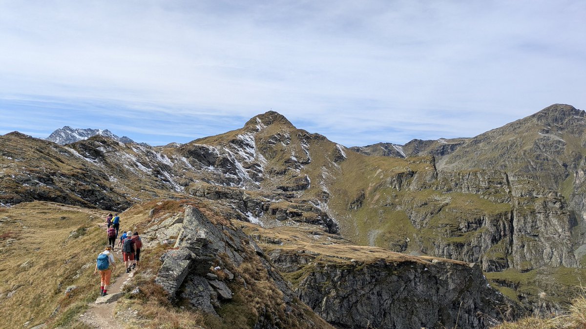 aelia1980 tweet media