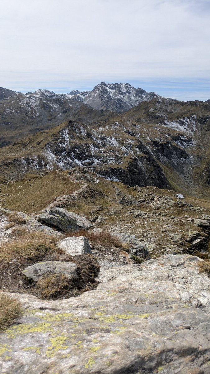 aelia1980 tweet media