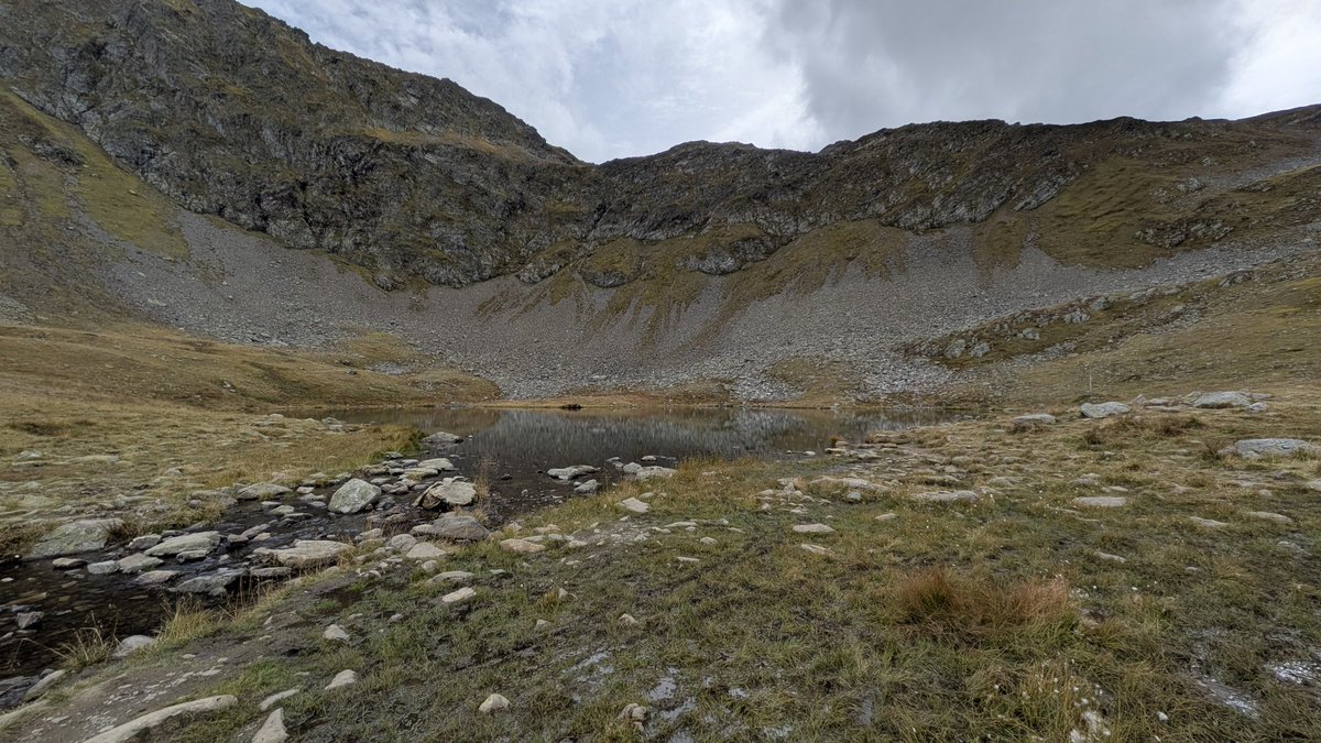 aelia1980 tweet media