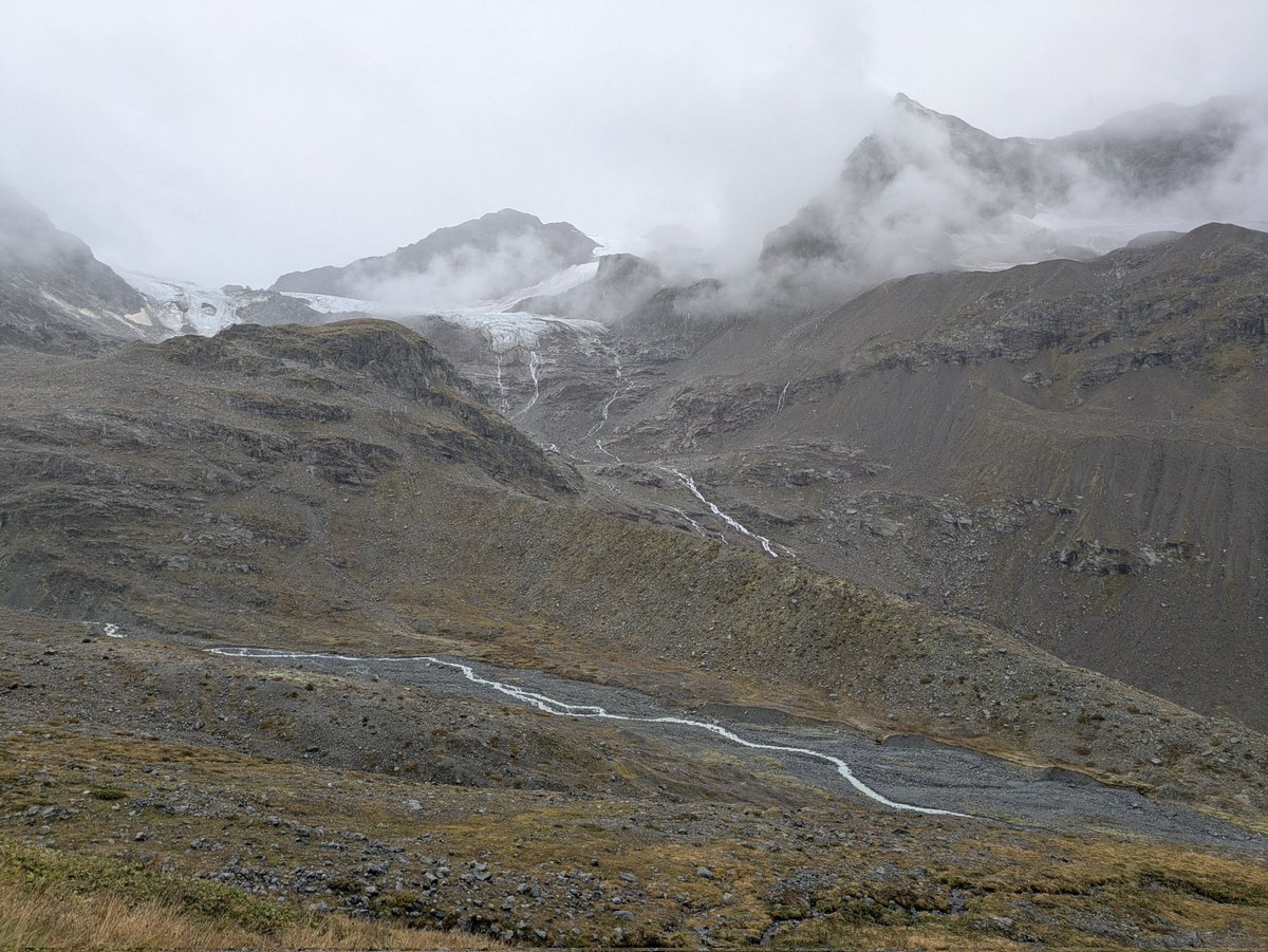 aelia1980 tweet media