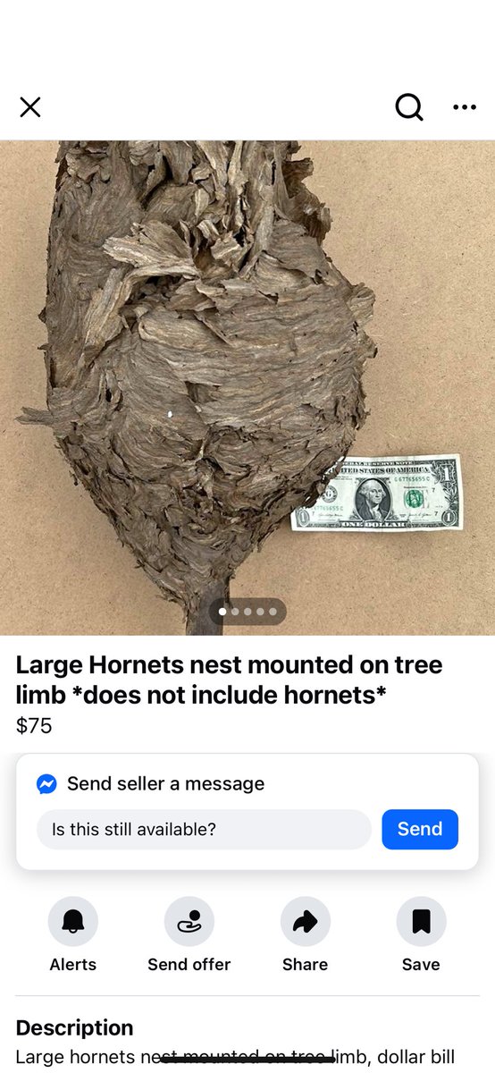 My life has improved dramatically since I stopped doom scrolling Instagram and replaced it by browsing facebook marketplace instead