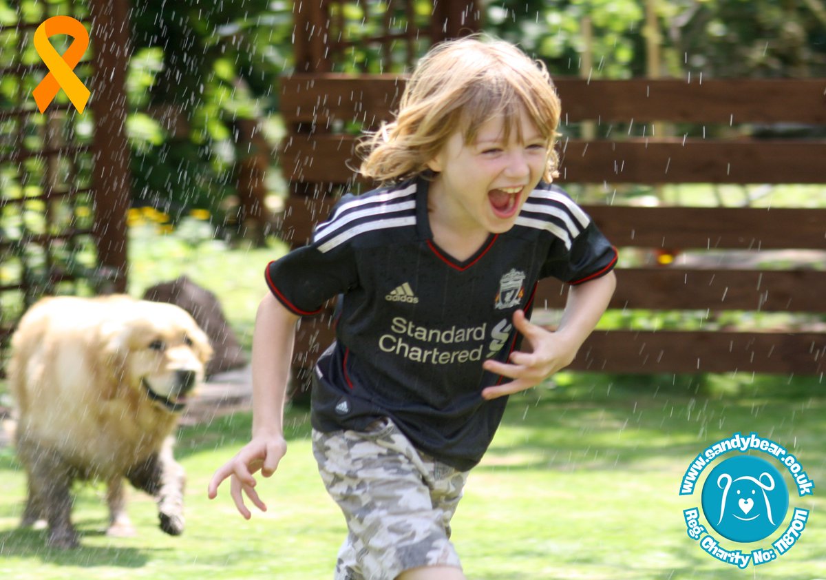 Sandy Bear Children's Bereavement Charity tweet media