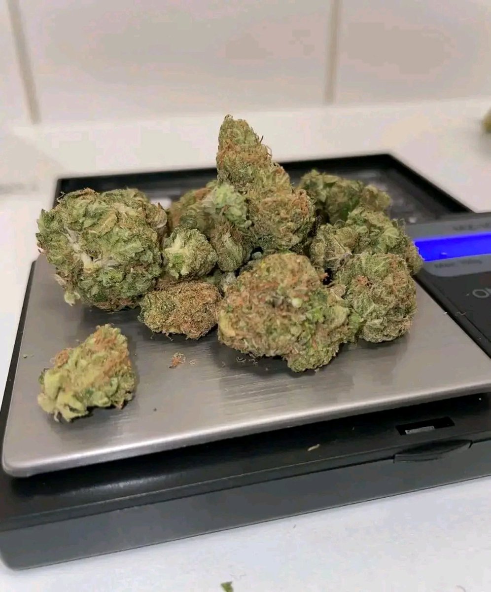 gumbo240's tweet photo. who wants smoke with me https://t.co/XfM3xNnPGg