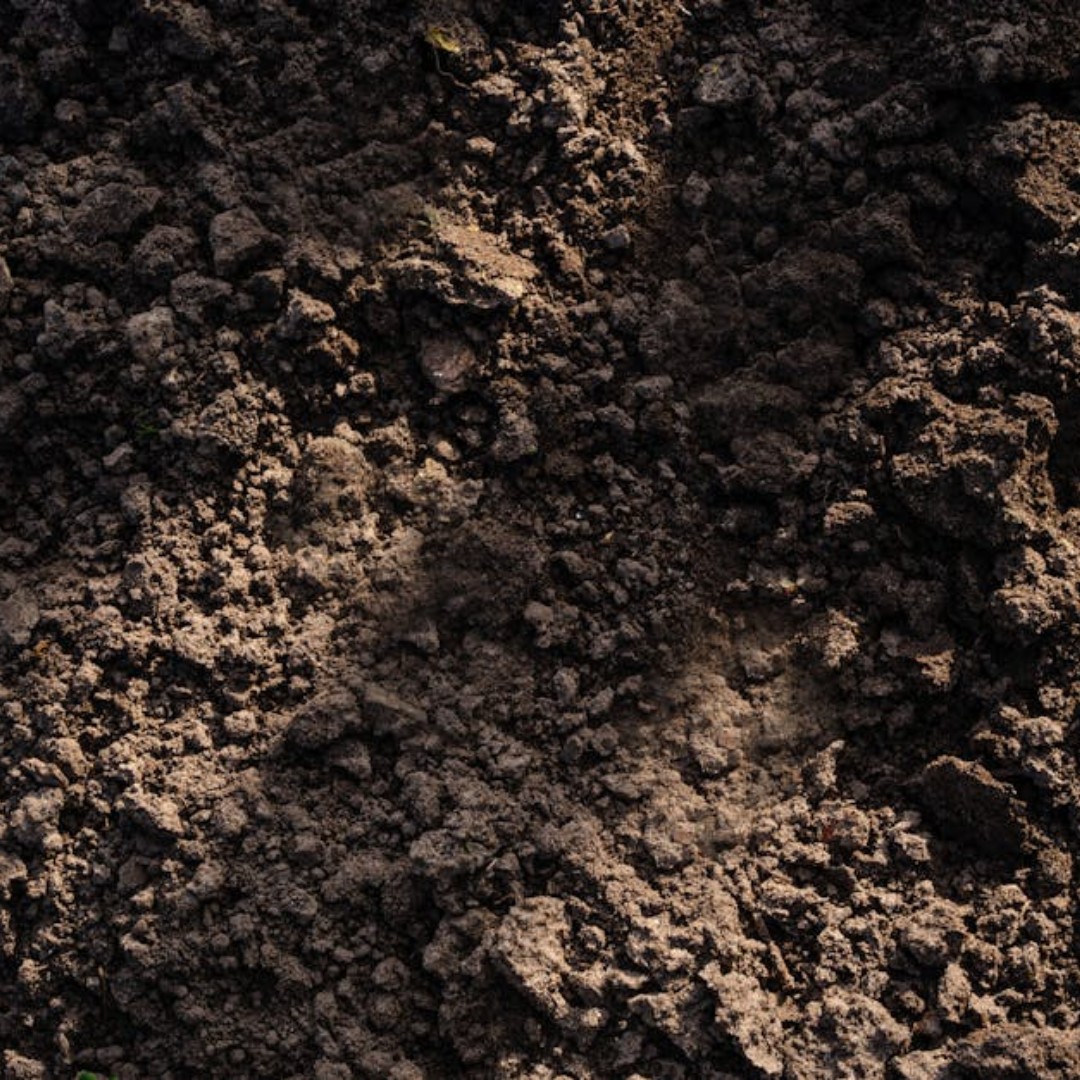 In order to even out areas that have been aerated you will need a good quality Topsoil - which we stock in our yard. This should be about 3mm thick with more in low areas. 

 #Topsoil #LandscapingTips #SoilHealth #Gardening