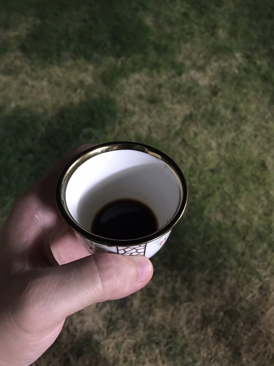 يدوخ راسي لا سمعت الفناجيل
ويطيب راسي لاتقهويت دله

الدله اللي تطبخ من البن والهيل
هي الدواءلاصار بالكيف عله