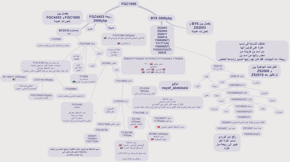تصحيح للمشجرة، تم نسبة أبناء جلان بن عتيك (الحارث وجشم ومرة وجرثونة) سهواً إلى ابنه ربيعة بن جلان، وهنا المشجر بعد التصحيح