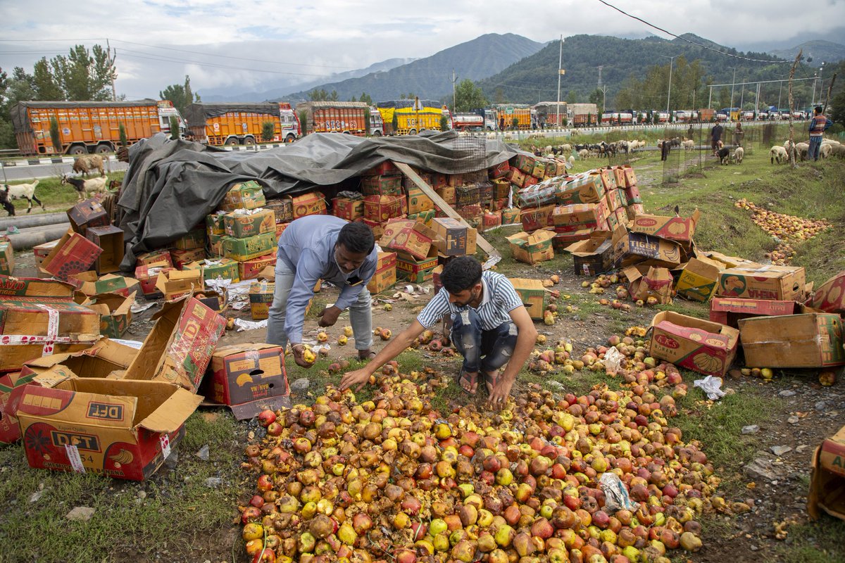 faisalbashirs's tweet image. Trucks carrying apples are stranded on the Srinagar-Jammu National Highway in Qazigund on September 09, 2025. 📷 @faisalbashirs