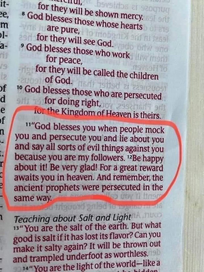 Bible365_'s tweet image. Matthew 5:11-12