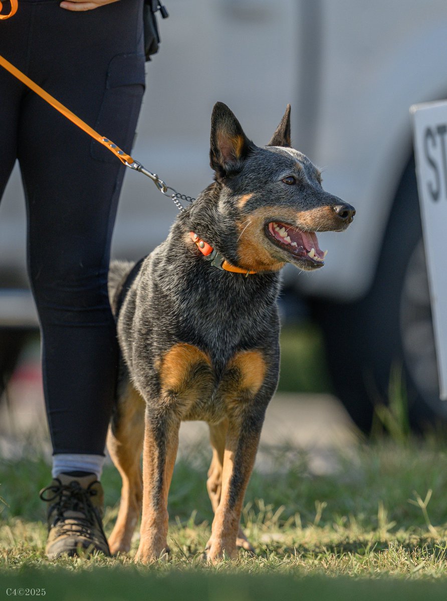 it's me, syd tweet media