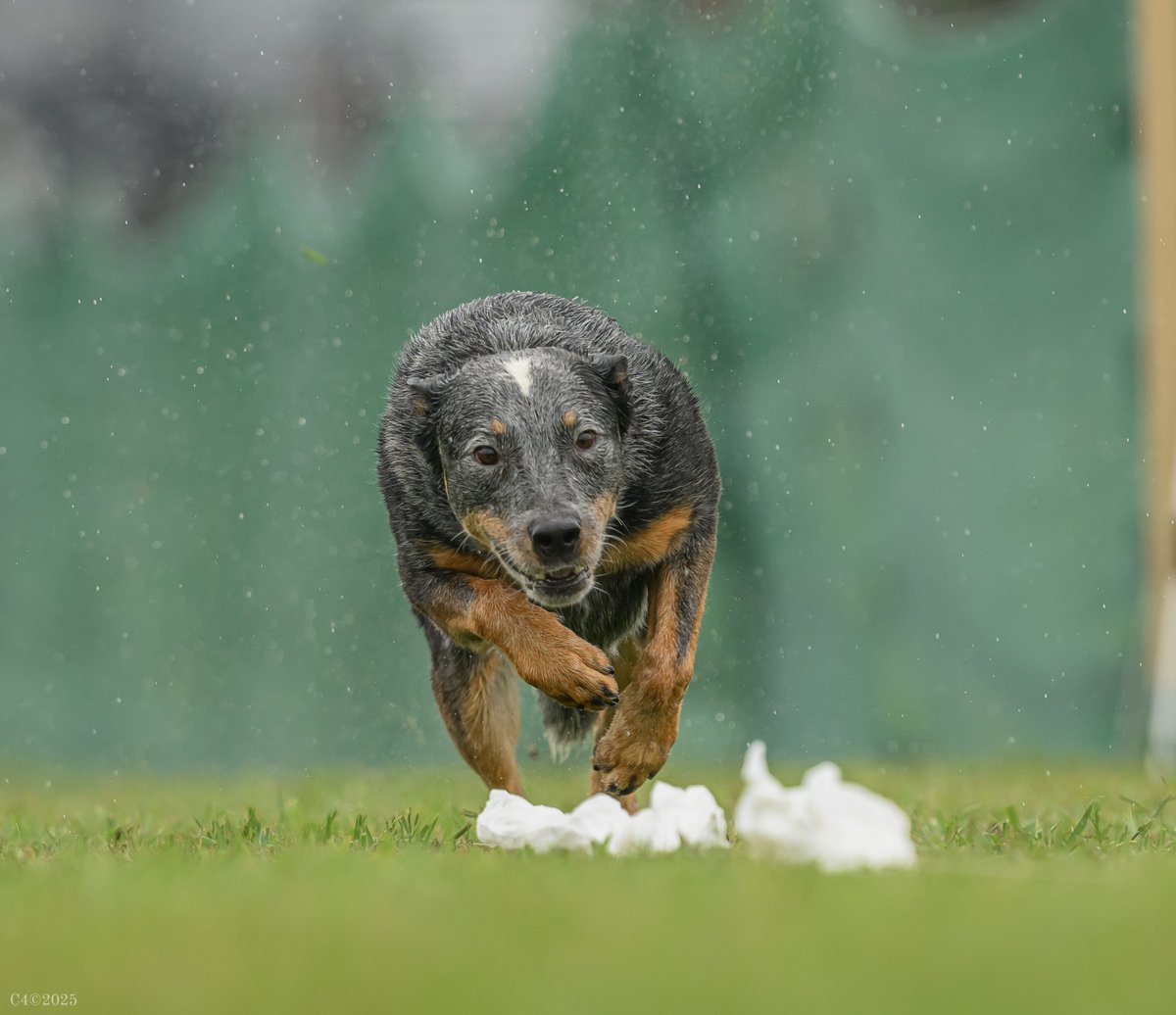 it's me, syd tweet media