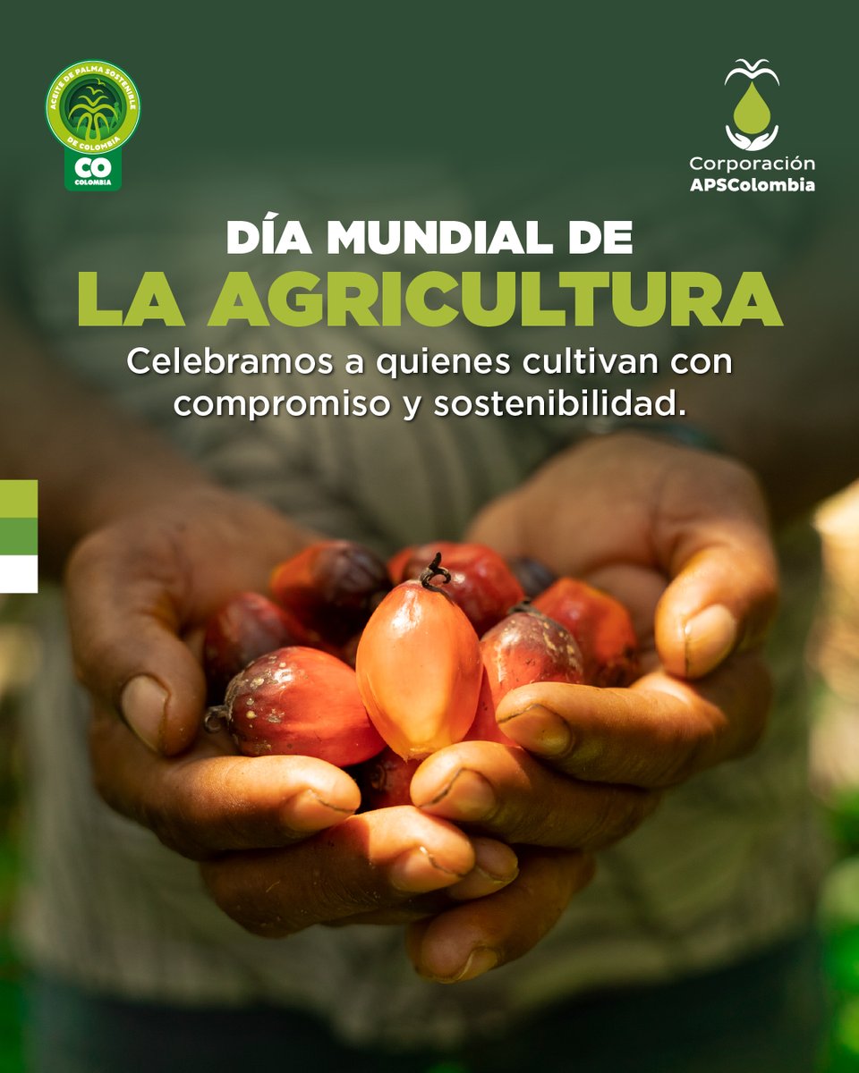 APSColombiaCorp's tweet photo. En el Día Mundial de la Agricultura, reconocemos a quienes cultivan con propósito y sostenibilidad.

🌴 La palmicultura responsable es parte de una agricultura que cuida el suelo, el agua y el futuro. https://t.co/eUA6f6Mhlo