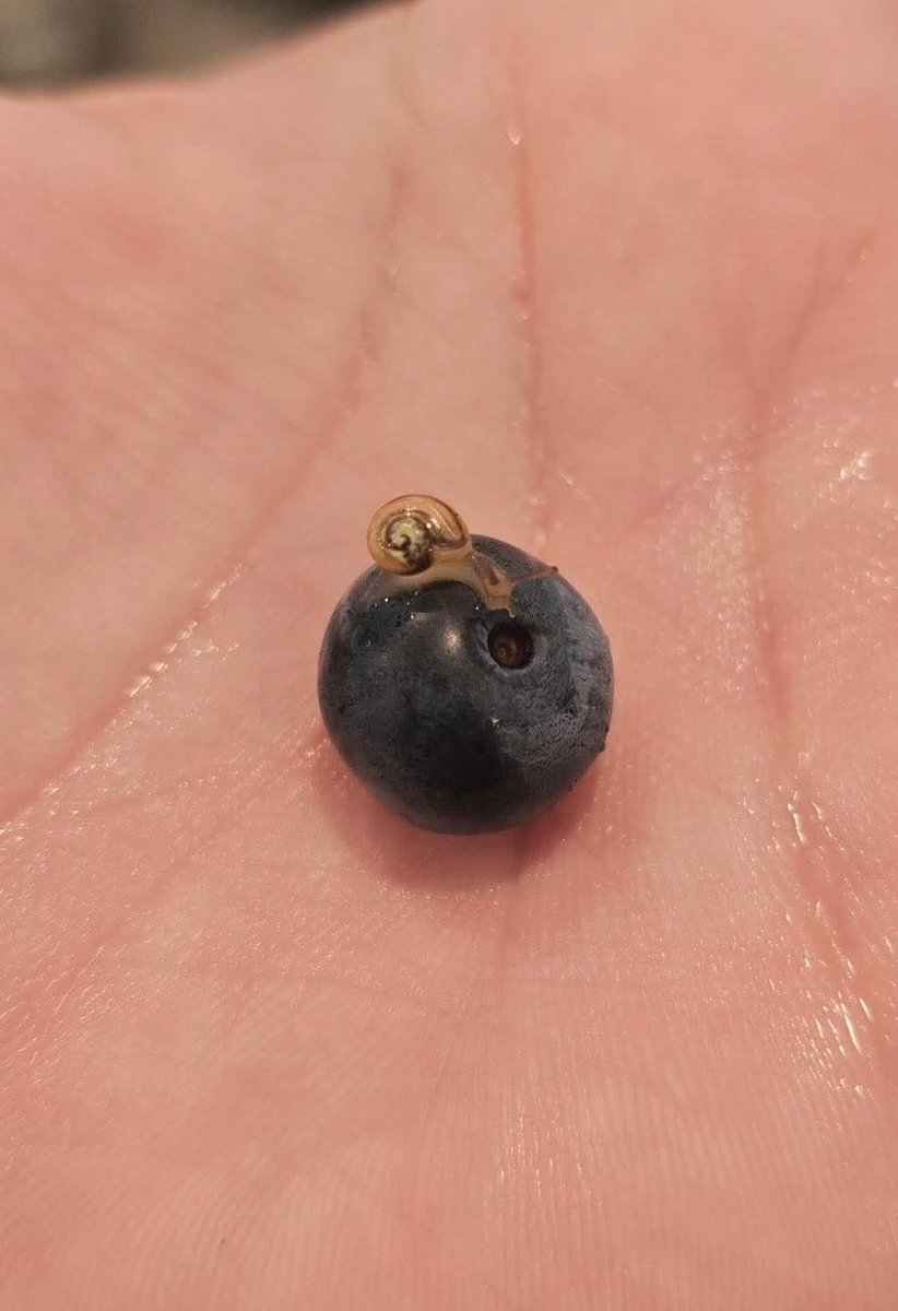 stop everything ur doing