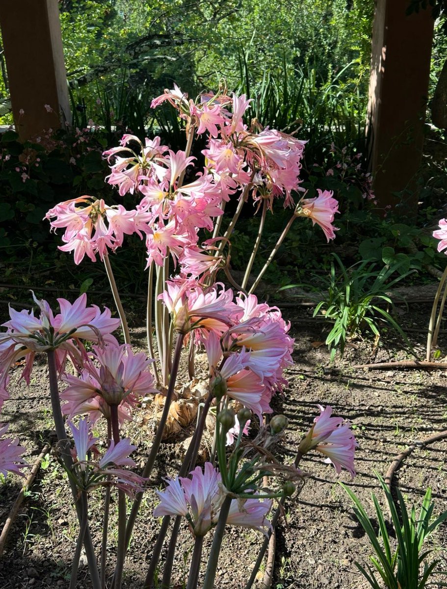 Emanuela (@artemisia12_) on Twitter photo 