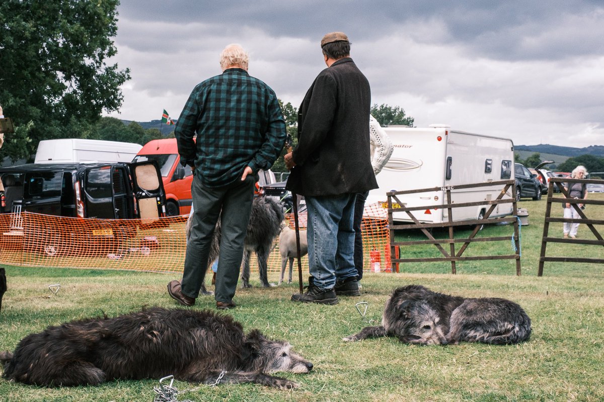 GonzoStreetPhotography tweet media