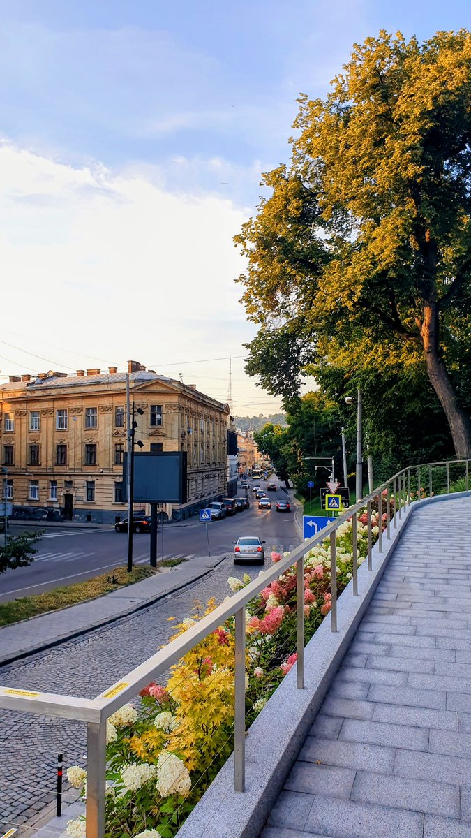 homo_tristis's tweet photo. львів🌿 https://t.co/QdZ3K2NKH9
