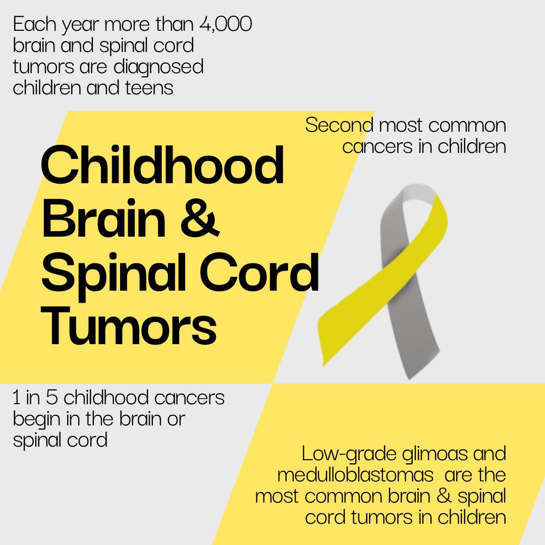 OneRibbon's tweet photo. Today, we are going to highlight Childhood Brain &amp; Spinal Cord Tumors📷 AWARENESS = FUNDS = CURES 📷
#childhoodcancer #childhoodcancerawareness #childhoodcancerawarenessmonth #oneribbonunited https://t.co/9UjKV9ZZH0