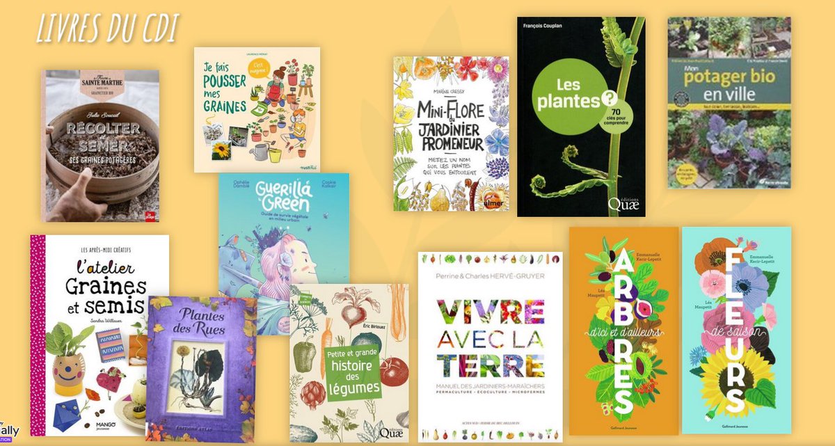 On a un projet de grainothèque avec des étudiants en design d’objet 🌱📚🪴🌸