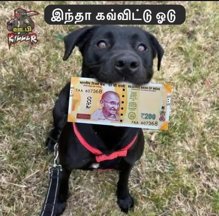 spsaamy's tweet photo. @shanmugamchin10 https://t.co/MA8fStYuT9
