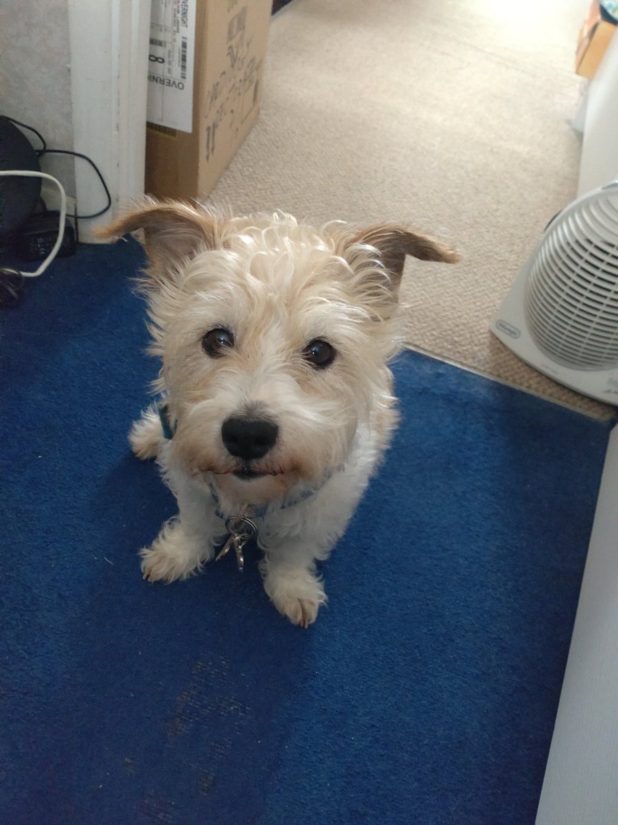 Katrina 💙 tweet media