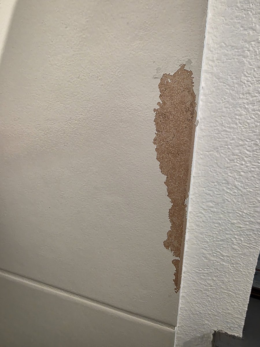 Justin Credible tweet media