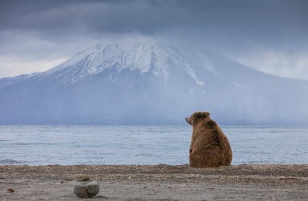 How it feels to be a copywriter on a brief working solo w/o an AD partner